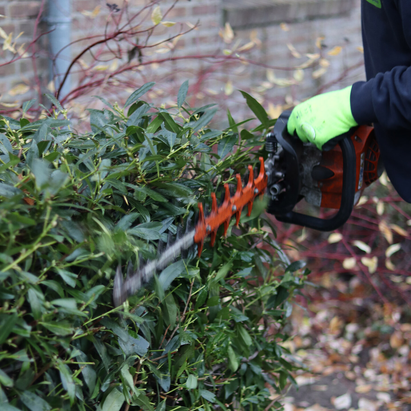 Heggenschaar in gebruik WeenerXL